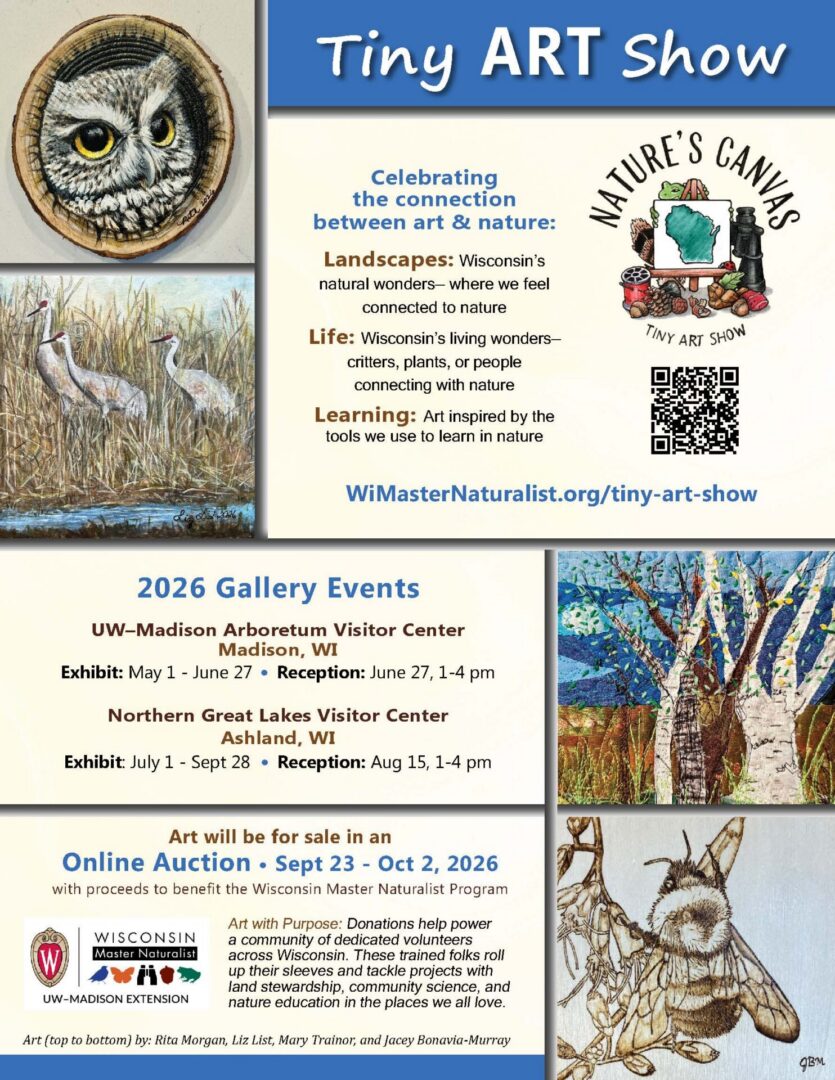 Tiny-Art-Show-Galleries
